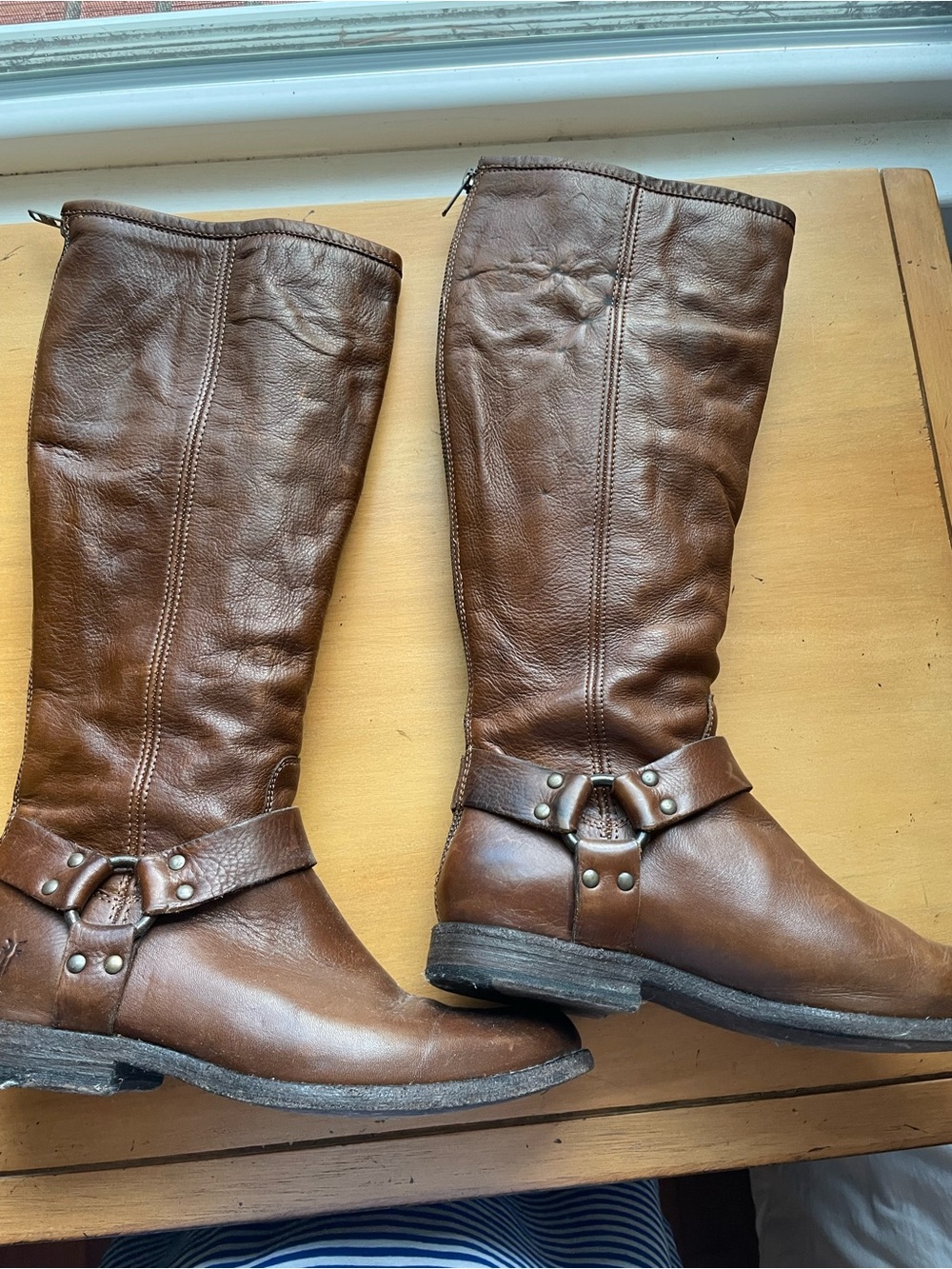Frye Phillip Harness tall Women's Riding Boots size 9